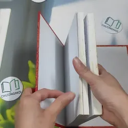 Chuyện Tình Vua Chúa Hoàng Tộc Việt Nam - Đinh Công Vĩ 990453