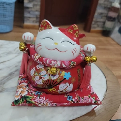 Mèo Thần Tài siêu đáng yêu