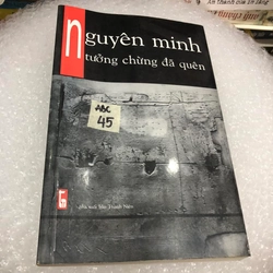 Tưởng chừng đã quên - Nguyên Minh