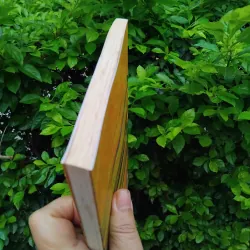 Món ngon và gia vị cảm xúc tùy bút của Tràn Tiến Dũng  990546
