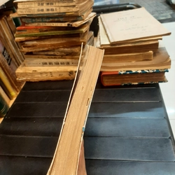 Lịch sử nội chiến ở Việt Nam từ 1771 đến 1802 - TẠ CHÍ ĐẠI TRƯỜNG 299878