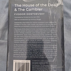 The House of the Dead and the Gambler 472295