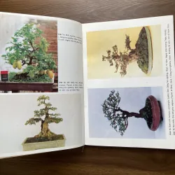 Bonsai 🌿🌿 961565