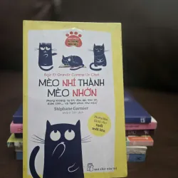 MÈO NHÍ THÀNH MÈO NHỚN 1032453