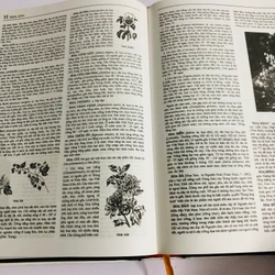 📚 TỪ ĐIỂN BÁCH KHOA VIỆT NAM – TẬP 2 539013