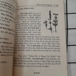 Rau cỏ trị bệnh. NHỮNG PHƯƠNG THUỐC HAY- MẸO VẶT ĐÔNG Y 704353