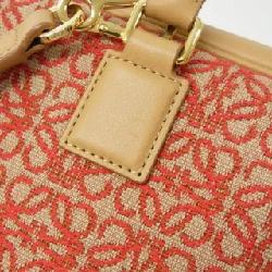 Túi Loewe Amazona 23cm A039N07X03 618877