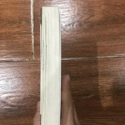 Nghệ thuật Việt Nam - Tủ sách nghệ thuật (8) 709168