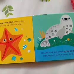 Hello, Orange Tiger 993538