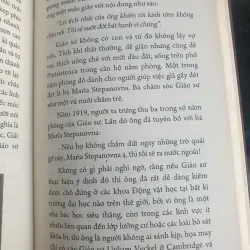 Những Quả Trứng Định Mệnh 736307