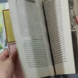 Tìm Thấy & Lại Mất 1018877