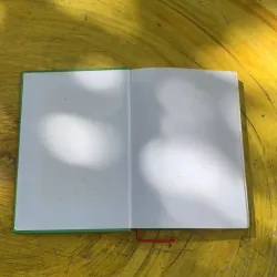 TRÀ HOA NỮ - ALEXANDRE DUMAS  784255