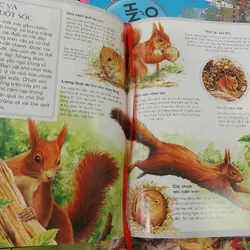 Tủ Sách Tri Thức Bách Khoa Bằng Hình - Thế Giới Động Vật | mới 100% bìa 350 1052778