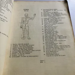 CẨM NANG PHÒNG MỔ (SONG NGỮ ANH – VIỆT) 755184