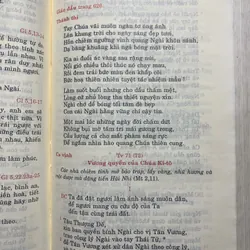 Các giờ kinh Phụng vụ - 2010 732455