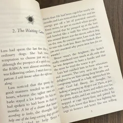 ✨𝑺𝒑𝒚 𝑫𝒐𝒈✨ 720048