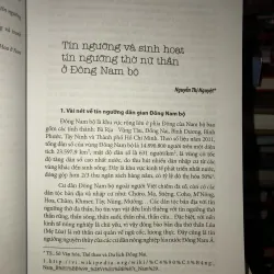 Văn hoá dân gian Nam Bộ - Tín ngưỡng dân gian 1003436