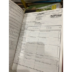 Videl Việt Nam 1004743