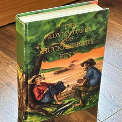 The Adventures of Huckleberry Finn 249025