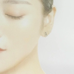 PT/PT900 Bông tai kim cương 0.10CT - Hàng hiệu Chính hãng 876033