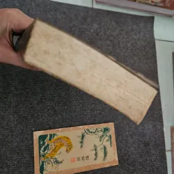 Mỹ thuật châu á 754015