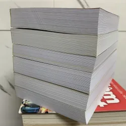 Mỹ thuật vùng miền việt nam. Combo 6 cuốn. 12a1 759912