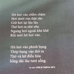 Sinh Lực Thể & Ý Thức Thể - Sa môn Thích Thông Bửu 196077