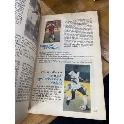 Bóng đá quốc tế - Almanach 524532