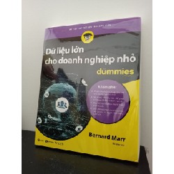 Dữ Liệu Lớn Cho Doanh Nghiệp Nhỏ For Dummies - Bernard Marr New 100% HCM.ASB2103