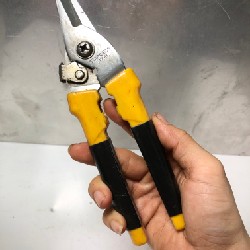 KÉO NHẬT BÃI 10104