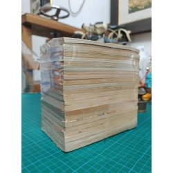 TRUYỆN TRANH HÀNH TRÌNH CỦA UDUCHI - YOSHIHIRO TOGASHI 377220