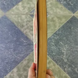 Sài Gòn năm xưa - Kỷ niệm 300 năm Sài Gòn-TP. Hồ Chí Minh - Vương Hồng Sển 712494