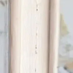 Người ta gọi mẹ là Single Mom - Lê Hoàng Anh 747439