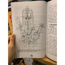 Mật mã vân bàn tay -Trần Đỉnh Long 786152