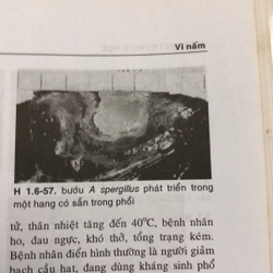 KÝ SINH TRÙNG Y HỌC  332731