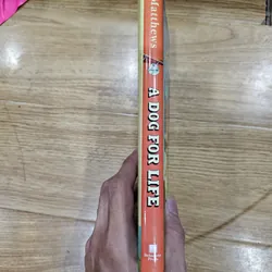 A Dog For Life
 682824