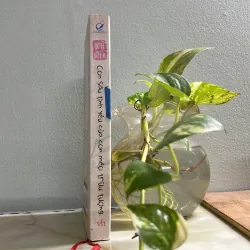 Con sâu tình yêu của con mèo trừu tượng - Nhĩ Nhã 750731