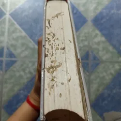 Từ điển nghệ thuật hát bội Việt Nam - Nguyễn Lộc 997350