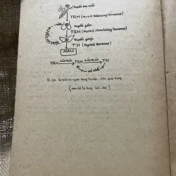 Nhi khoa - sách y -350 trang  799043