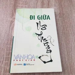 ĐI GIỮA VÔ THƯỜNG