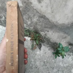 Thơ văn Nguyễn Bỉnh Khiêm  1022819