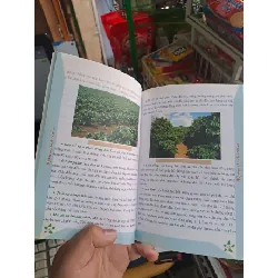 Bí quyết thành công kĩ thuật trồng cà phê hiệu quả - Minh Ngọc GIÁO TRÌNH, CHUYÊN MÔN HCM0910 588405