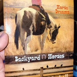 BACKYARD AND HORSES