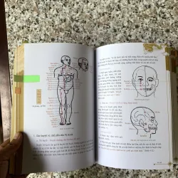 Cẩm nang dưỡng sinh thông kinh lạc 1004115