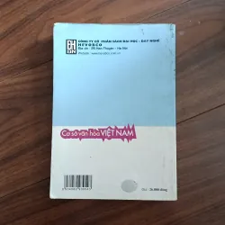 Cơ sở văn hoá việt nam 759475