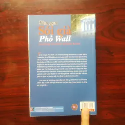 [Sách Kinh Tế] Tóm Gọn Sói Già Phố Wall (Jordan Belfort) 930731