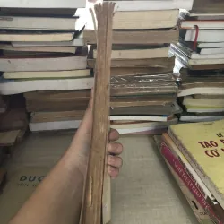 Thất chơn nhơn quả 995104