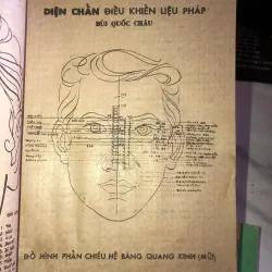 Diện chẩn điều khiển liệu pháp diện chẩn diện châm - Bùi Quốc Châu 1031951