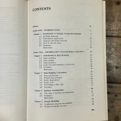 Information Engineering: Strategic Systems Development - Clive Finkelstein 748999