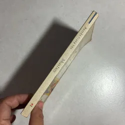 Mùa bay - Nguyễn Trang Thu 784830